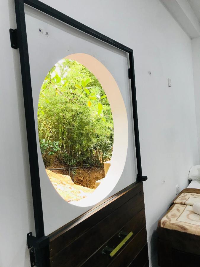 The Hobbit Cottage-Ella Ngoại thất bức ảnh