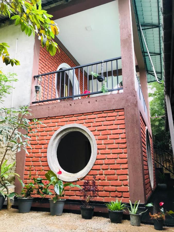 The Hobbit Cottage-Ella Ngoại thất bức ảnh